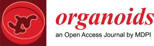 Organoids