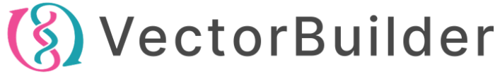 VectorBuilder
